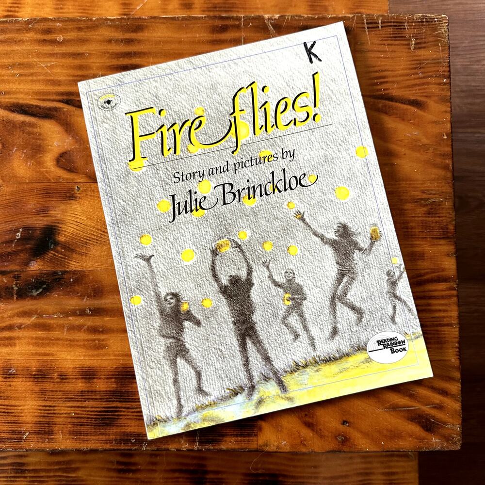 Vintage 1985 Fire Flies! Paperback Book